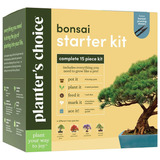 Bonsai Tree Growing Kit  Grow  Indoor Bonsai Trees  Pla...