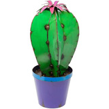 Cactus De Flecha Rústica En Maceta Con Flor De Alto
