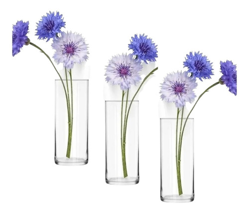 3 Florero Vidrio Cilíndrico Decorativo Moderno Elegante 22cm