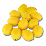 Kit 12 Limão Siciliano Artificial Realista Fruta Decorativa 