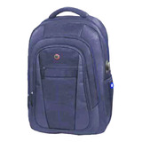 Mochila 17  Wilson Usb Portanotebook Reforzada Cuot