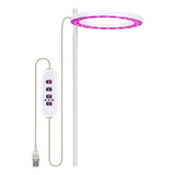 Luz Led Sencilla Rosa Hojas Y Flor Plantas Chicas Suculenta