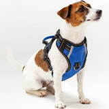 Arnes Para Perro Antitirones Compatible Con Jack Russell Ter