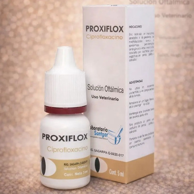 Proxiflox Ciprofloxacino Hci Oftalmica 5 Ml | MercadoLibre