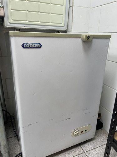 Congelador Freezer 100 Litros Tapa Dura/rigida 