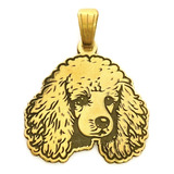 Dije Perro Caniche Mascota Oro 18k