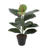 Ficus Elástica/ Gomero De 45 Cm, Vadell Home