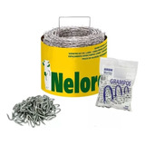 Kit Arame Farpado Nelore 250mt + 1 Kg Grampo Morlan