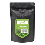 500g De Sementes De Grama Esmeralda!!!frete Gratis