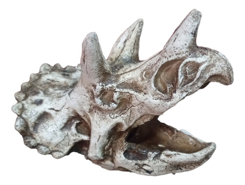 Figura Resina Acuario Craneo Dinosaurio Triceratops 14x12cm