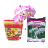 Paquete Sustrato + Fertilizante Para Orquídeas (500 Grs C/u)