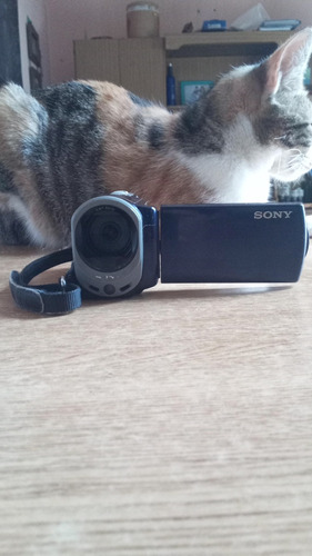 Sony Handycam Dcr Sx44