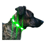 Collar Para Mascotas Perro Luz Led Recargable Usb