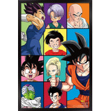 Dragon Ball Z - Póster De Pared Con Cuadrícula, 14.72...