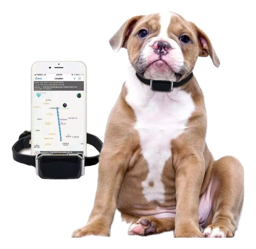 Collar Mini Gps Tracker Localizador Rastreador Mascotas