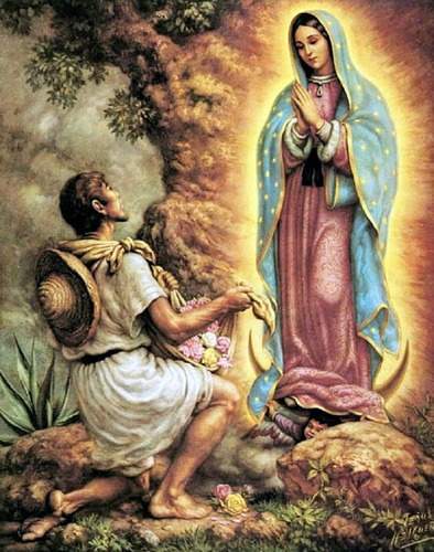 Diamond Painting Kit 5d Virgen De Guadalupe 40x50 [u]