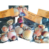 Caracoles Marinos. 5 Bolsas. Variedad Artesan.velas Eventos.