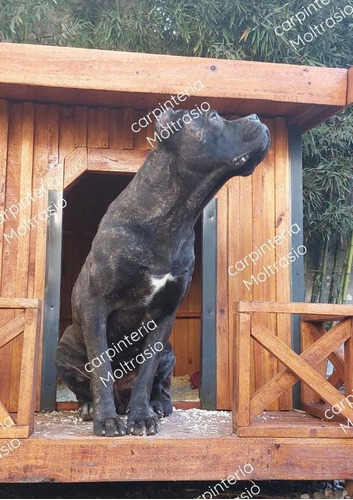 Cucha Para Exteriores - Ideal Para Perros Grandes Cane Corso