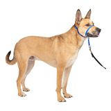 Collar Para Perro Petsafe Gentle Leader No-pull Azul Medio