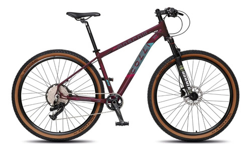 Bicicleta Aro 29 Mtb Colli Moscow 12v Freio Hidr. - Roxo