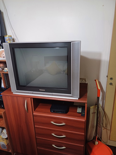 Televisor Panasonic 29  Pantalla Plana