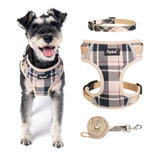 Pupteck Juego De Arnes Y Collar De Correa Para Perros Pequen