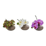 Casi Natural Artificial 7 Rr Arreglo De Orquideas Phalaenop