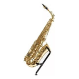 Saxo Alto Parquer Custom Incluye Estuche. 