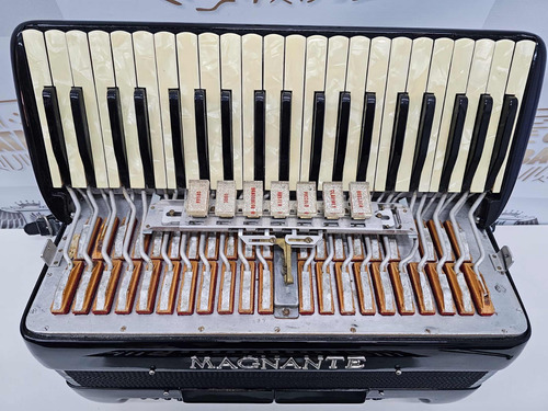 Acordeon Magnante Super Conservada