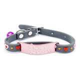 Chapita Pasador Gatos Rosa+ Collar Goma Love Gris