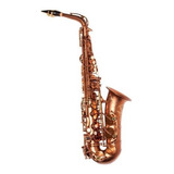 Saxo Alto Renaissense Parquer + Estuche + Cañas+kit Limpieza