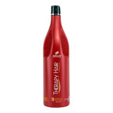 Shampo Profissional Therapy Hair Ice Washing 1l. Adlux