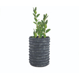 Vaso Decorativo Para Plantas Modelo Orgânico Cimento Azul
