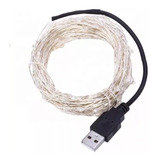  Tira Serie Luces Led Decorativa Alambre 10m 100 Led Usb