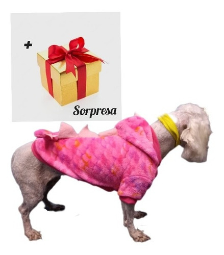 Suéter Sudadera Disfraz Para Perro Talla 4 Peluche Dinosauri