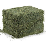 Heno De Alfalfa/avena/ Orgánico 10 Kg Para Conejo Cuyo