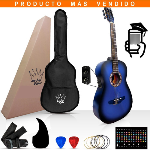 Guitarra Electroacustica  Brx Pasiva Tono Y Volumen Vz