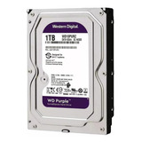 Hd Sata 1tb Purple Wersten Digital