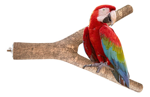 Percha De Madera Guacamaya Aves Grandes 45cm Reposadero Loro