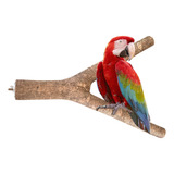 Percha De Madera Guacamaya Aves Grandes 45cm Reposadero Loro