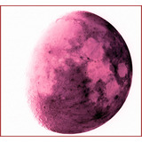 Lienzo Canvas Arte Astronomía Fotografía La Luna Roja 80x86