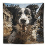 Tapiz De Pared Pastor Border Collie 60x51 In Para Sala O Dor