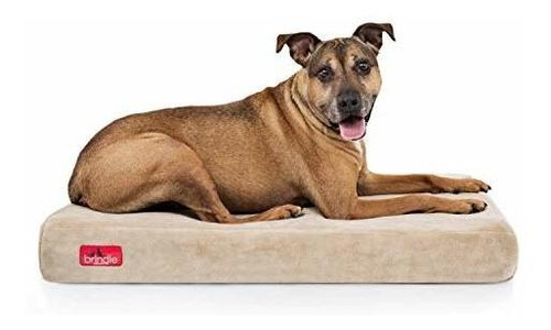 Brindle Waterproof Designer Memory Foam Pet Bed