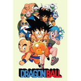 Dragon Ball - Sagas Completas (pendrive)