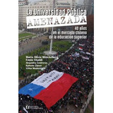 La Universidad Publica Amenazada, De Monckeberg, Maria Olivia. Editorial Universitaria, Tapa Blanda En Español