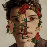 Cd: Shawn Mendes