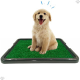 Sanitário Canino Banheiro Para Cães Com Grama Eco Pet