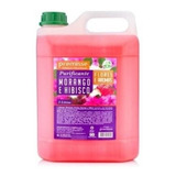 Sabonete Líquido Mãos E Corpo Morango E Hibiscus 5lt