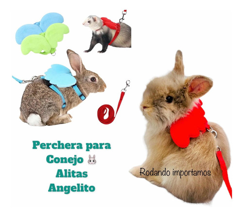 Perchera Para Conejo Paseo Con Alitas De Angelito