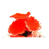 Enfeite Aquario Soma Coral Mushroom Spotted Vermelho 04 